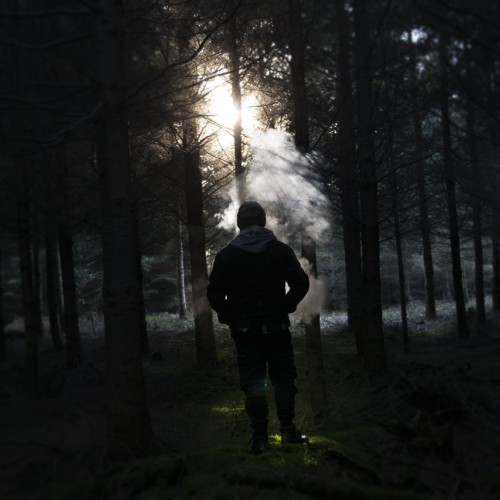 Portraits et tranches de vies